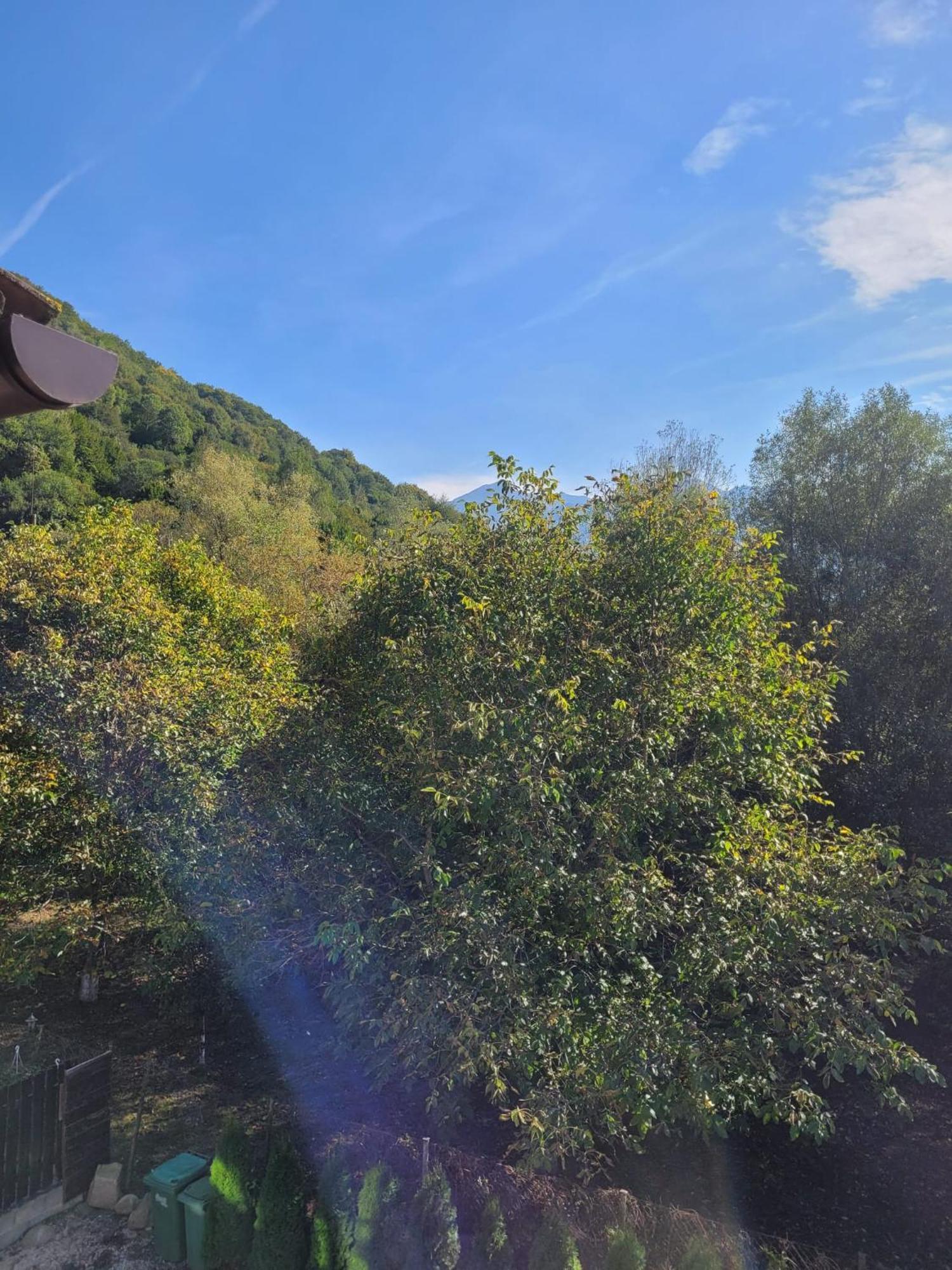 Vila Emma Rîşnov Luaran gambar
