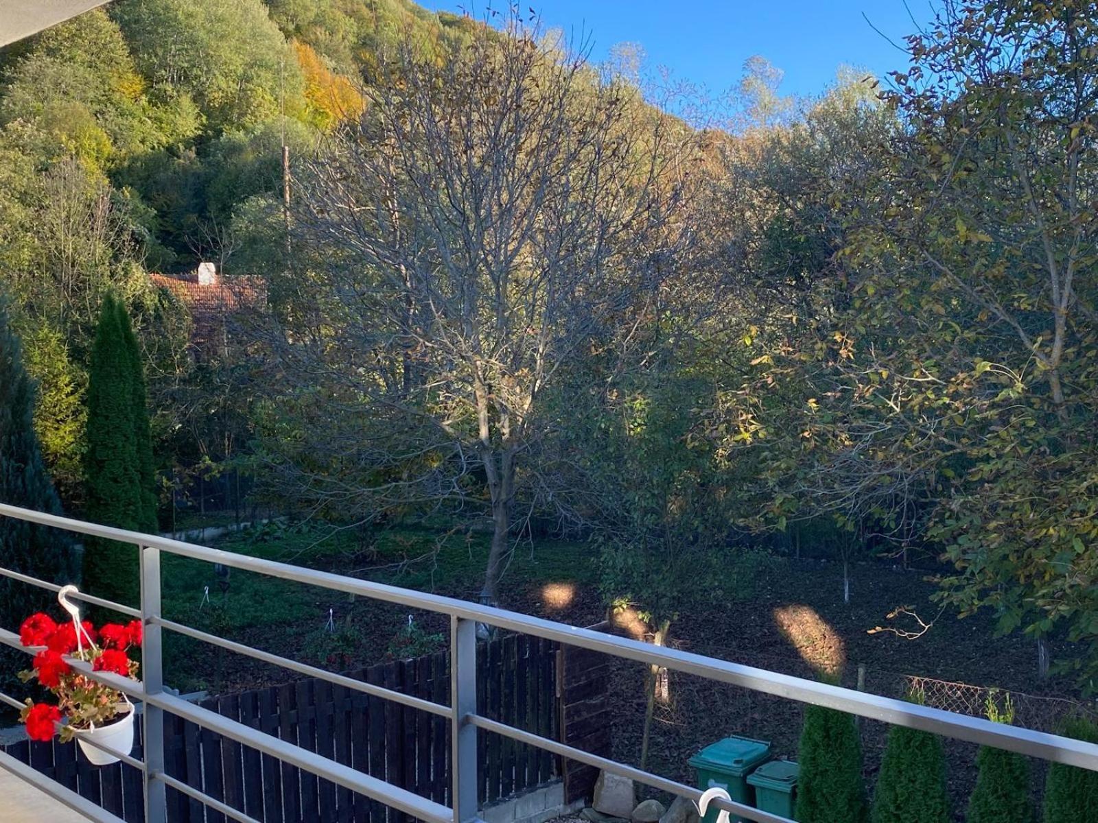 Vila Emma Rîşnov Luaran gambar