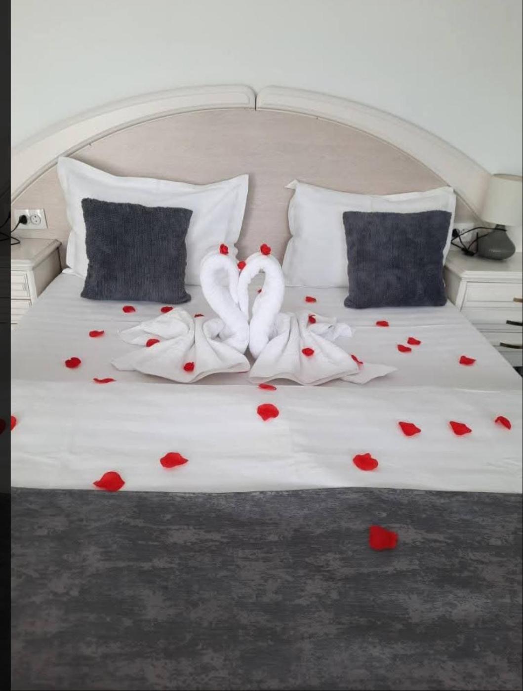Vila Emma Rîşnov Luaran gambar